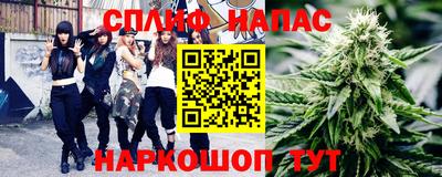 крисы Кингисепп