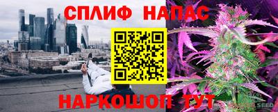 мяу мяу мука Будённовск