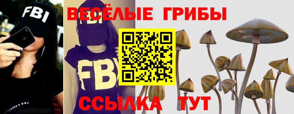 Псилоцибиновые грибы мицелий  Вход с VPN  Омск 